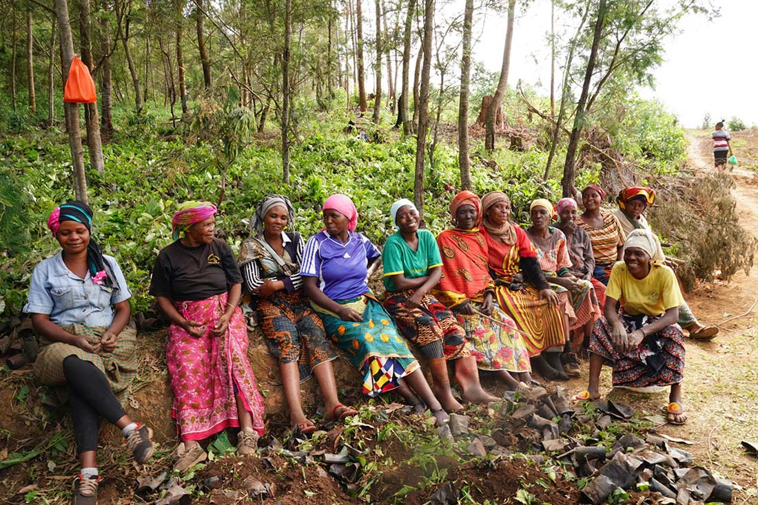 Allied Grow My Tree programme. Group of women.