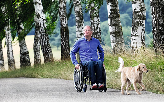 Lifestyle image featuring a dog